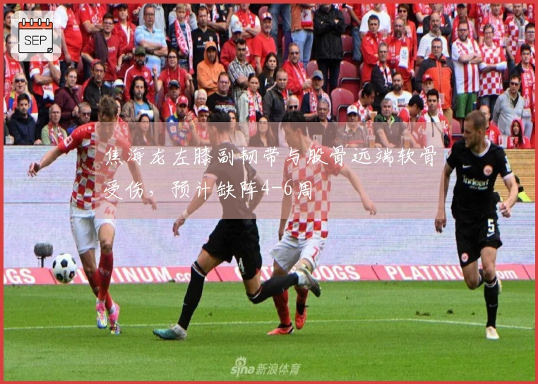 焦海龙左膝副韧带与股骨远端软骨受伤，预计缺阵4-6周